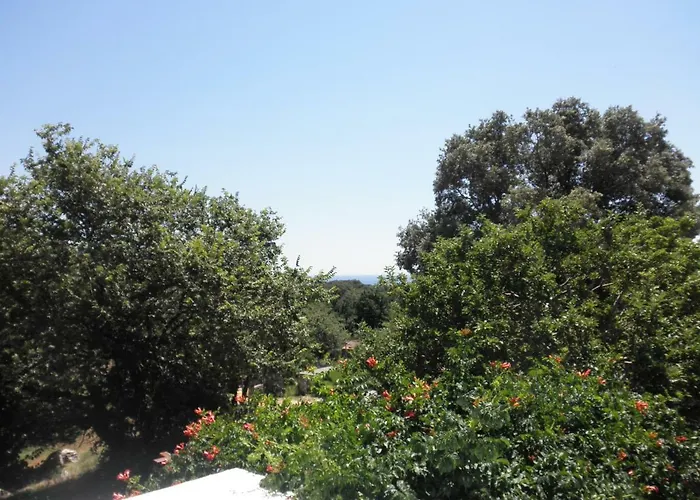 Apartman Martina
